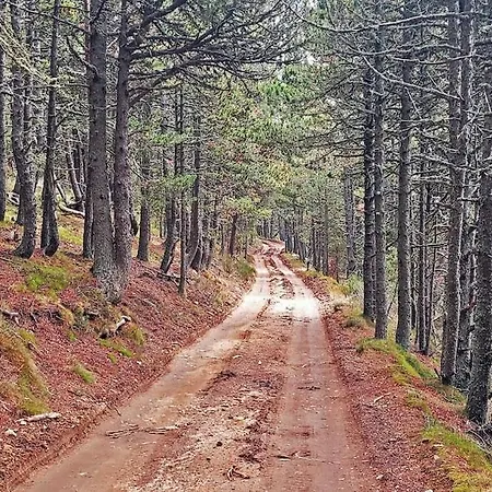 Apartmán Edelview *